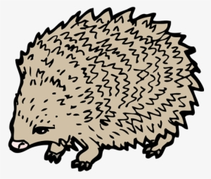 Hedgehog Drawing Clip Art - Hedgehog Drawing