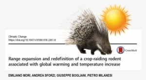 Emiliano Mori On Twitter - Risk