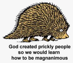 Porcupine - Domesticated Hedgehog