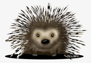 Bleed Area May Not Be Visible - Porcupine Pillow Case