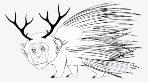 Monkey Deer Porcupine - Porcupine Monkey Deer