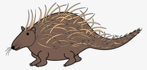 Porcupine - Illustration