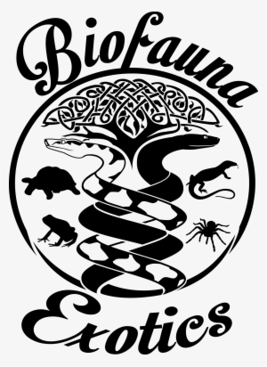 Graphic Library Library Biofauna S Shop Featuring Custom - Drawing