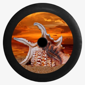 Jeep Wrangler Jl Backup Camera Seashell Sealife On