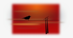 Bird Scenery Silhouette Sky Sunset - Bird Scenery Vector