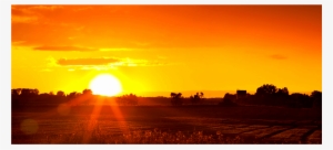 Animal Hospital In Roswell, Nm - New Mexico