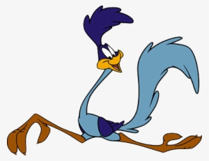 Roadrunner3 - Road Runner Cartoon