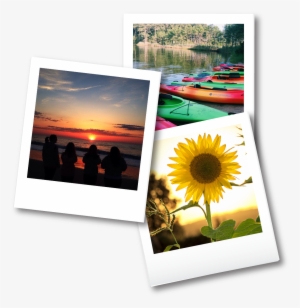 Tansey Warner Relaty Teams Up With Chamber To Host - Zazzle Sonnenblume-notizbuch Spiral Notizblock