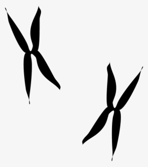 Roadrunner Tracks Rubber Stamp - Rubber Stamping