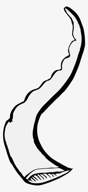 Details, Png - Clip Art