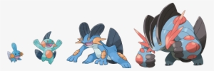 View Swampert Evolutionary Line , - Pokemon Swampert