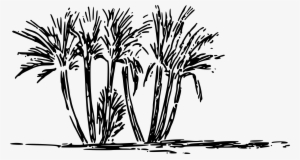 This Free Icons Png Design Of Tree Clump