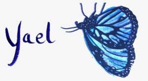 Leah Yael Levy - Lycaenid