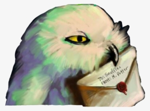 Harrypotter Hogwarts Gufi Lettere Love Cute Losa8765 - Harry Potter's Hedwig