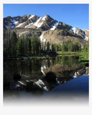 Director's Office - Idaho