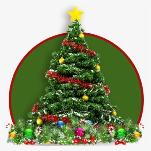 Christmas Trees