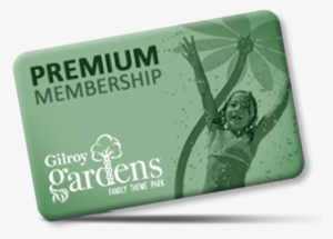 Memberships - Bar Soap