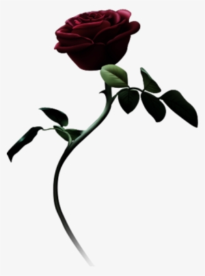 Beauty And The Beast Logo - Garden Roses