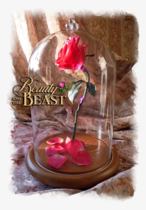 Free Beauty And The Beast Rose In Glass - Beauty And The Beast Enchanted Rose Light