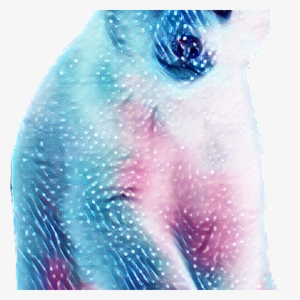 Picsart Photo Studio