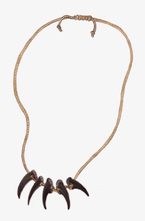Bear Claw Necklace Bear Claw Necklace, Black Bear, - Necklace