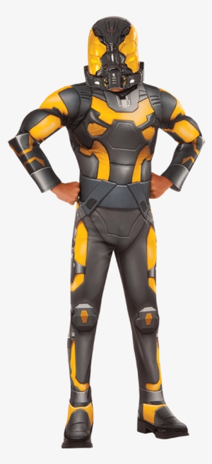 Halloween Costume Ant Man