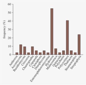 Frequency Of Prey Taxa In Guts Of 42 Larvae Of A - Frequency