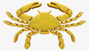 Astrological Sign Zodiac Horoscope Cancer Astrology - Cancer