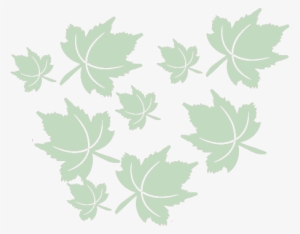 Spring-background - Maple Leaf