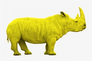 Rhino Jaune Png - Animals With White Background