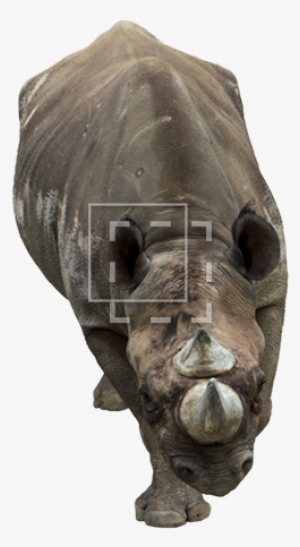 Parent Category - Sculpture Front View Png