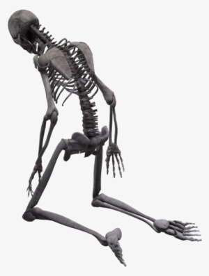 People Skeleton Pngimg004 Load20180523 Transparent - Bones Go Snap Snap