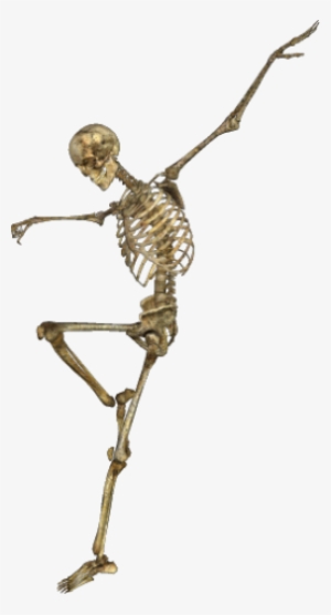 Skeleton-051 - Portable Network Graphics