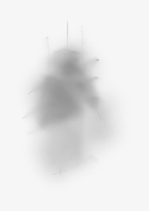 Top - Monochrome