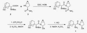 Production Of Saxagliptin - Saxagliptin Synthesis
