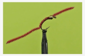 Red Sparkle Worm - Macro Photography