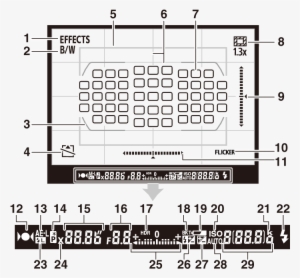 The Viewfinder - Number