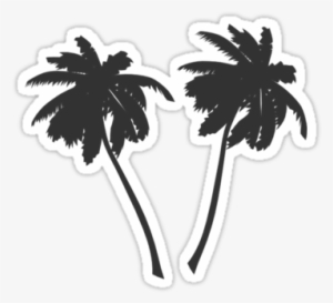 Palm Tree Black And White Silhouette Stickers Redbubble - 5'x7'area Rug