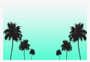 Palm Trees Celebration - Borassus Flabellifer