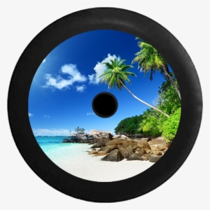 Jeep Wrangler Jl Backup Camera Palm Trees White Sand