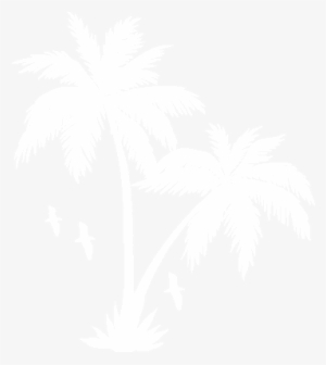 Collection Of Free Transparent White Palm Tree Download - Palm Tree White Png
