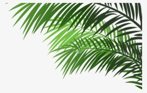 2017 Candy Treasure - Palm Tree Branches On Transparent