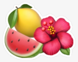 Lemon Watermelon Emoji Tumblr Tropical Iphoneemoji - Emoji De Una Flor