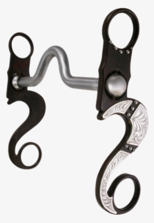 Eva Marie Medium Port Brown Silver Plates And Dots - Stencil