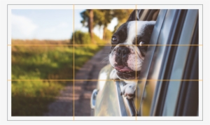 Remembering The Rule Of Thirds May Be Hard To Apply