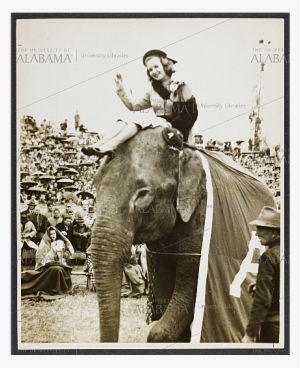 Lee Corso Riding An Elephant