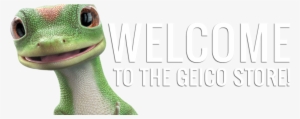 Welcome Banner - Iguana
