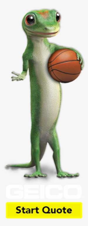 Geico