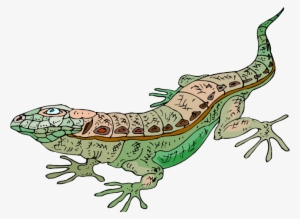 Gecko Clipart Green Lizard - Lagarto De Desierto Png