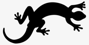 Animal, Gecko, Lizard, Reptile - Lizard Clipart